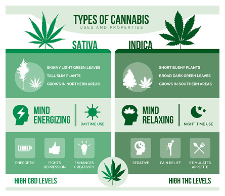 Types of Weed (Cannabis) and Strains